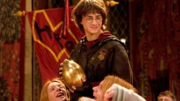 harry potter, oeuf, coupe de feu