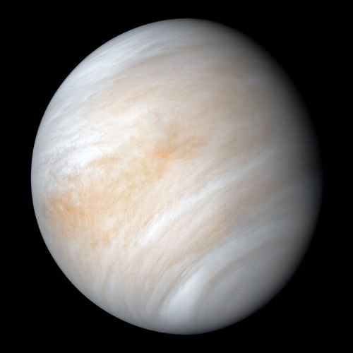 Venus 