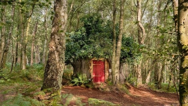 airbnb_winnie