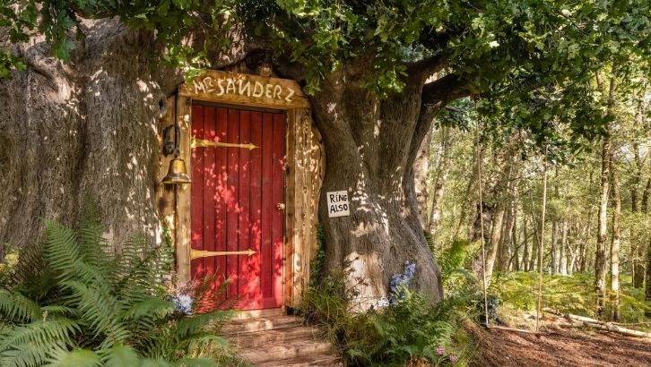 airbnb_winnie_2