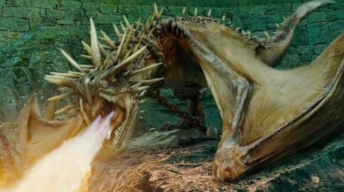 dragon-harry-potter