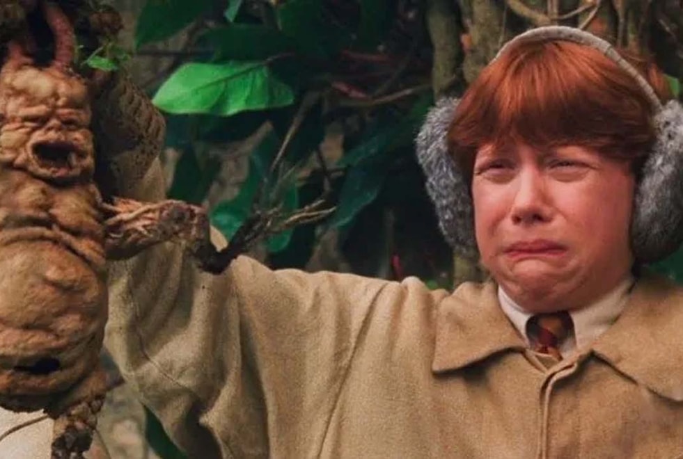 Harry Potter : les 5 des pires créatures de la saga magique