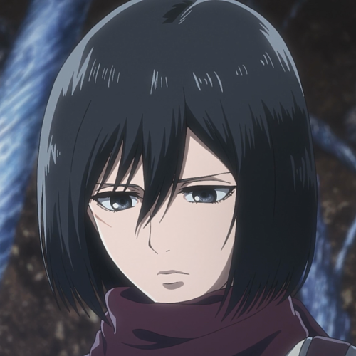 Mikasa 