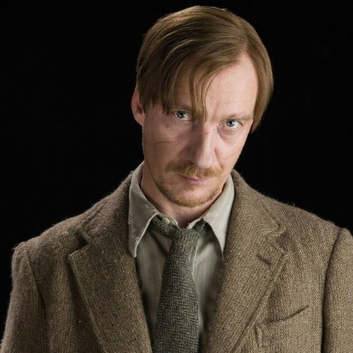 David Thewlis (Remus Lupin)