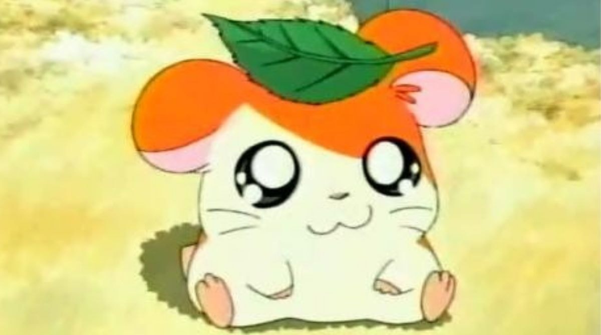 Hamtaro