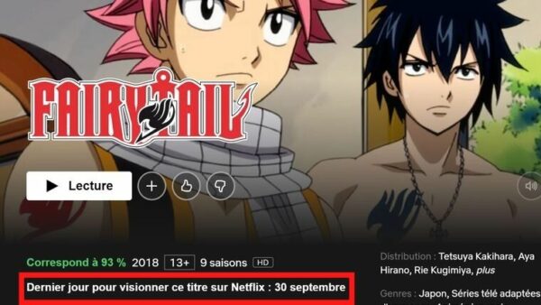 Est-ce que Naruto a été enlevé de Netflix ?