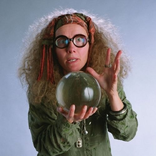 Professeur Trelawney 