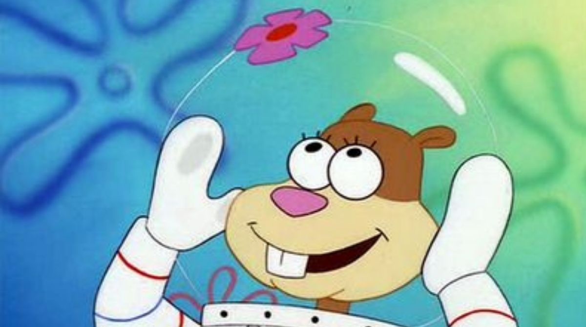 Sandy Bob l'éponge