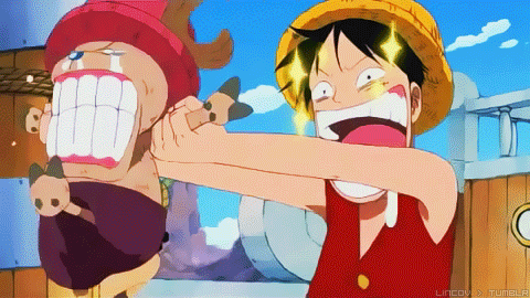 Tu es un vrai fan de One Piece