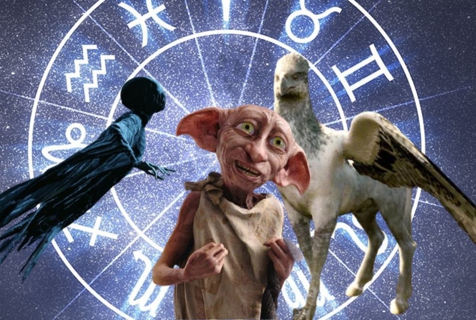 Quiz Harry Potter : donne nous ton signe astro, on te dira quelle créature de la saga te correspond