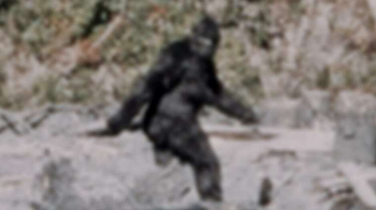 Le Big Foot