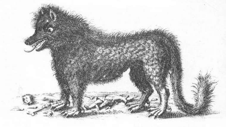 Le loup du Gévaudan