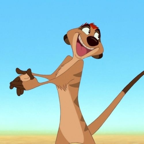 Timon 