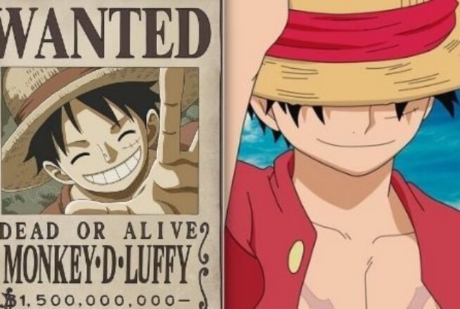 Quiz : seul un vrai fan de One Piece saura reconnaître ces affiches Wanted