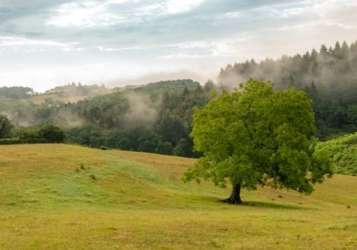 A la campagne pour se rouler dans l'herbe ! 