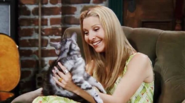 phoebe-chat-friends