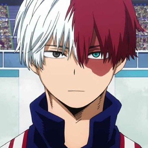 Shoto Todoroki