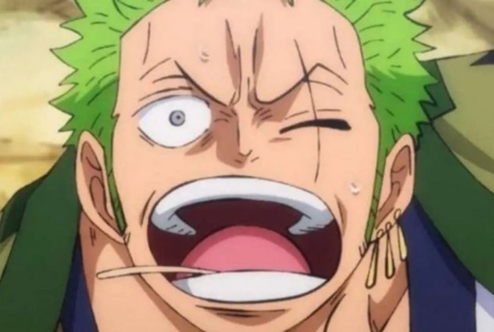 Quiz : seul un vrai fan de One Piece saura si ces théories existent ou pas