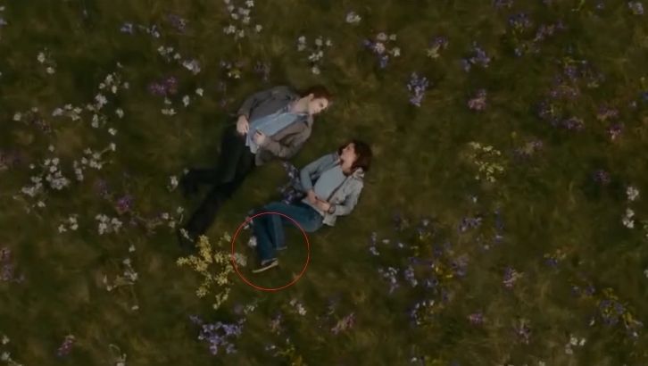 twilight_pied-bella