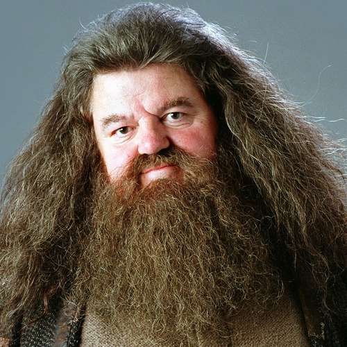 Hagrid