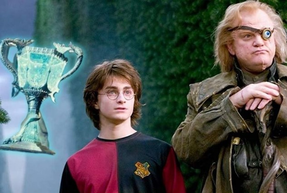 Harry Potter et la Coupe de Feu : ce quiz te dira à quelle épreuve du tournoi tu serais éliminé