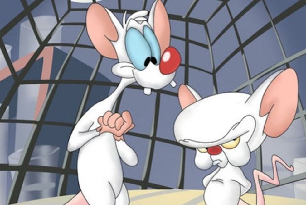 Retour en enfance : comment se termine Minus et Cortex ?