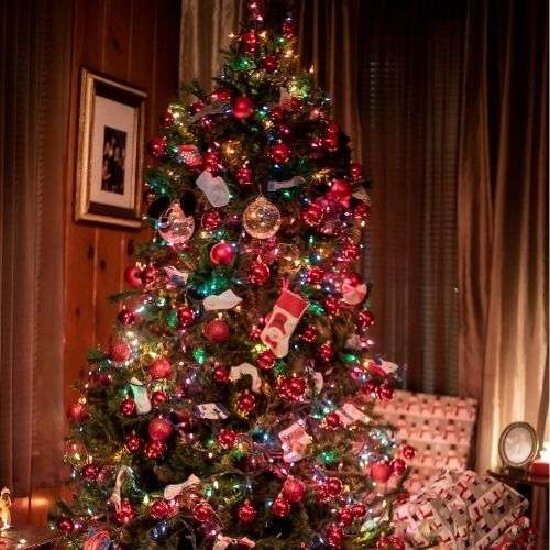 On dirait mon sapin