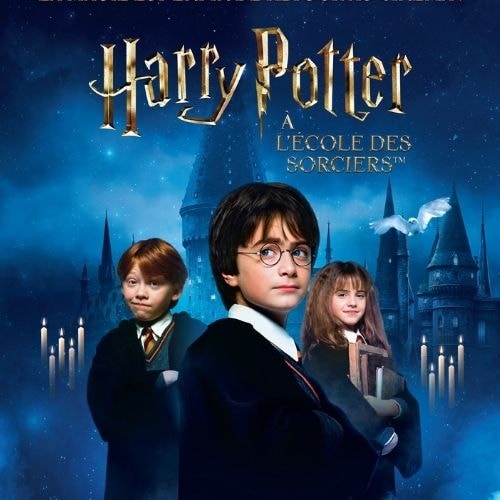 Harry Potter à l'école des sorciers