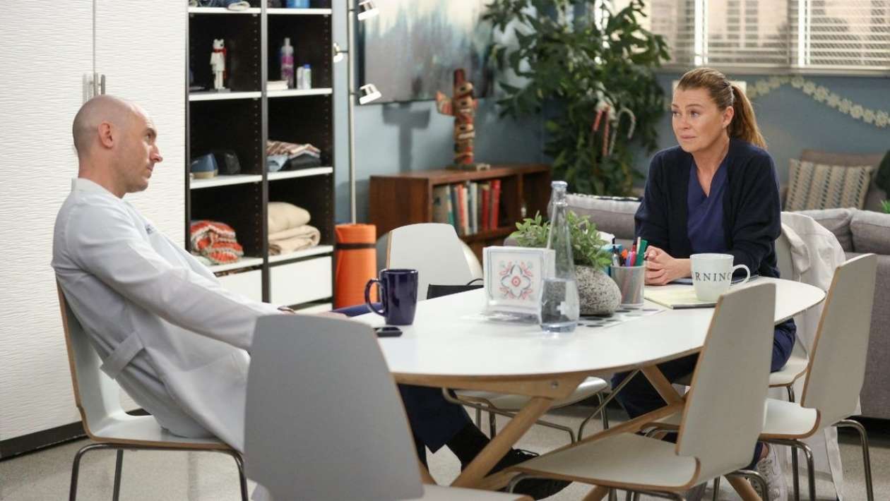 Grey's Anatomy : la série bientôt renouvelée pour une saison 19 ? Les discussions sont en cours