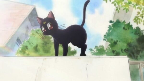 animaux-anime-19