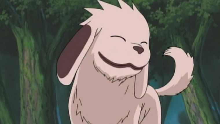animaux-anime-5