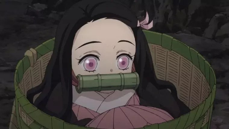 🍮 [ nezuko perguntas. ]⌇·˚ ༘