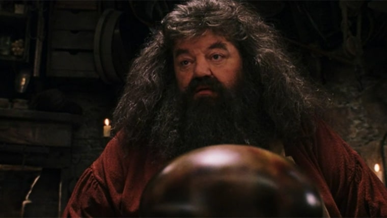 hagrid et l'oeuf de norbert dans harry potter à l'école des sorciers