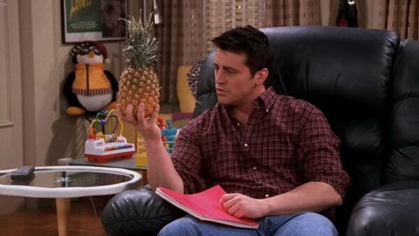 joey-ananas