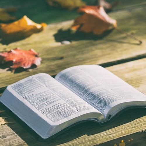 L'odeur des livres