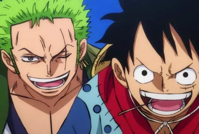 Quiz : seul un vrai fan de One Piece aura 10/10 à ce quiz sur le duo Luffy et Zoro