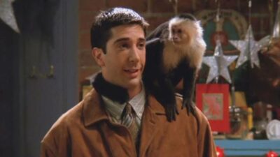 Friends : ce détail mignon sur Ross que personne n'avait remarqué dans l'épisode du départ de Marcel