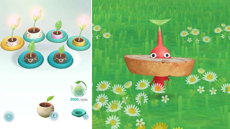 pikmin-bloom-4