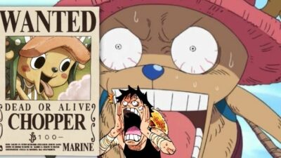 Quiz One Piece : réponds à ces 7 questions, on te dira quelle prime tu aurais