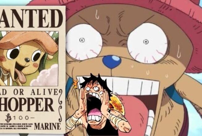 Quiz One Piece : réponds à ces 7 questions, on te dira quelle prime tu aurais