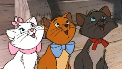 Les Aristochats : une adaptation en prise de vues réelles en développement chez Disney