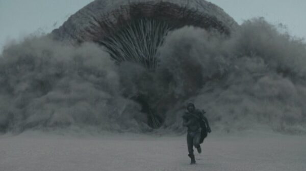 Dune Ver des sables