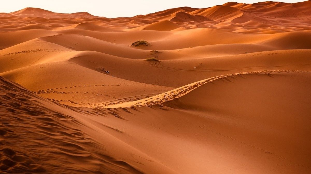 Dans un désert aride