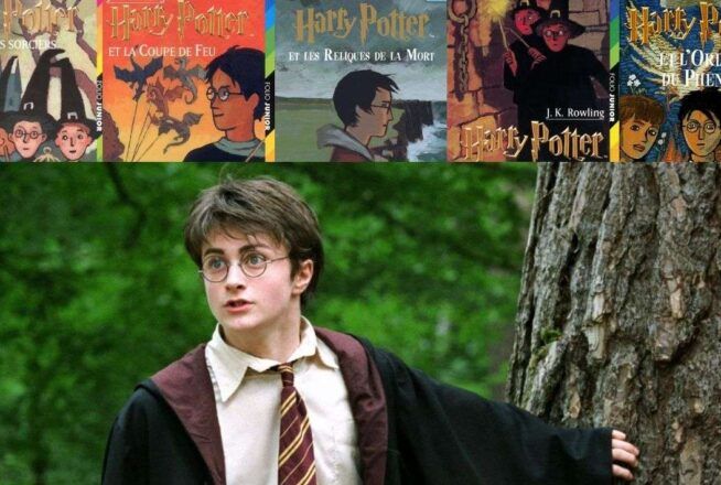 Sondage : vote pour le livre de la saga Harry Potter que tu aimes le moins