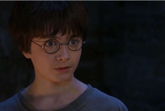 Harry Potter : vous ne verrez plus le héros comme avant avec cette info sur son passé chez les Moldus