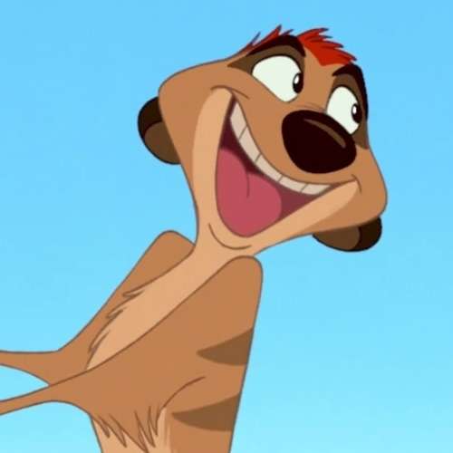 Timon