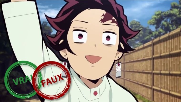 Quiz : aucun fan de Demon Slayer n&rsquo;a jamais réussi à retrouver si ces 10 anecdotes sur Tanjiro sont vraies ou fauses
