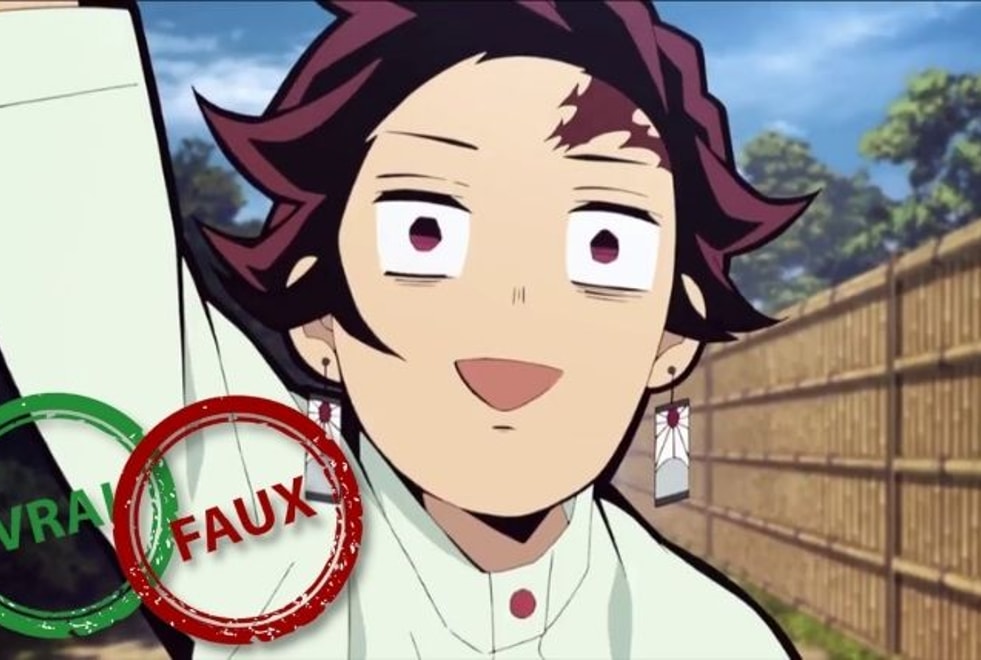Quiz : aucun fan de Demon Slayer n’a jamais réussi à retrouver si ces 10 anecdotes sur Tanjiro sont vraies ou fauses