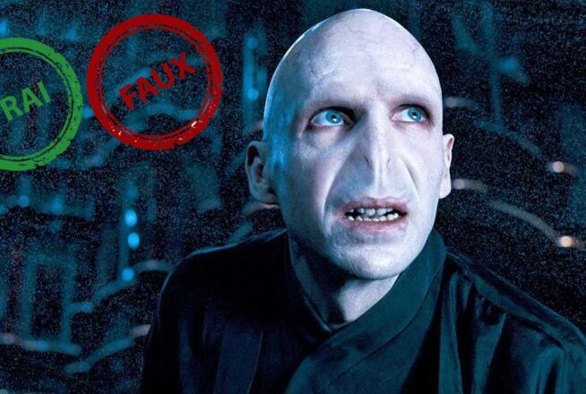 Harry Potter : impossible d’avoir 20/20 à ce quiz Vrai ou Faux sur Voldemort