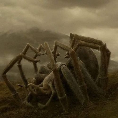 Aragog